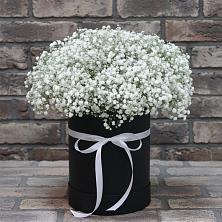 Цветочная композиция из Гипсофила в шляпной коробке в Кожевниково
